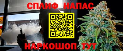 стафф Бердск