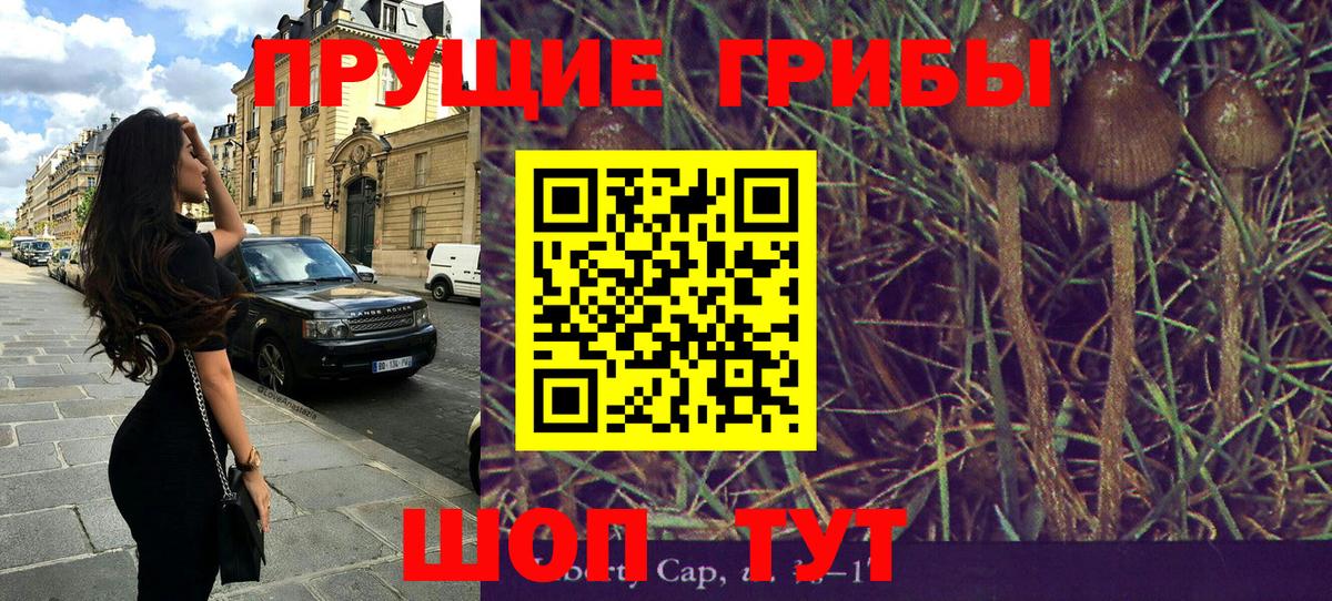 Псилоцибиновые грибы MAGIC MUSHROOMS  Вход с VPN  Касимов 